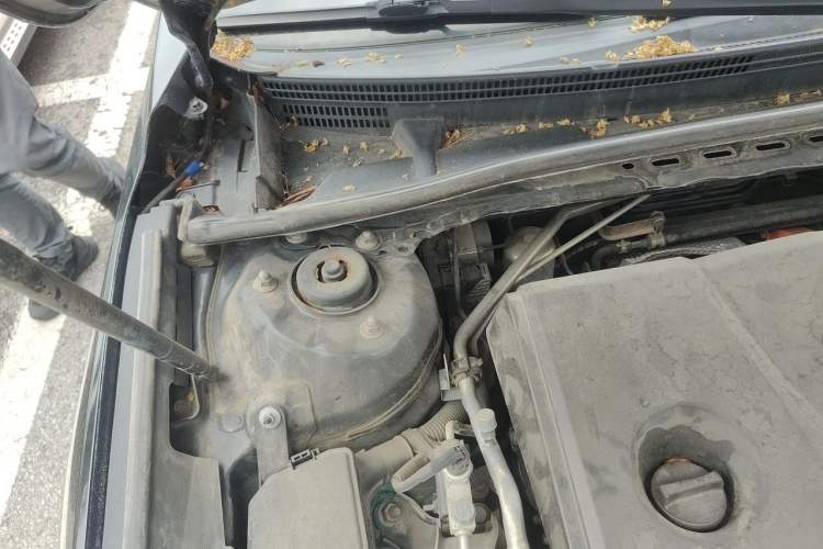 Used Toyota Avalon 2019 Dual-Engine 2.5L Luxury Edition China VI Standard Engine Bay Right