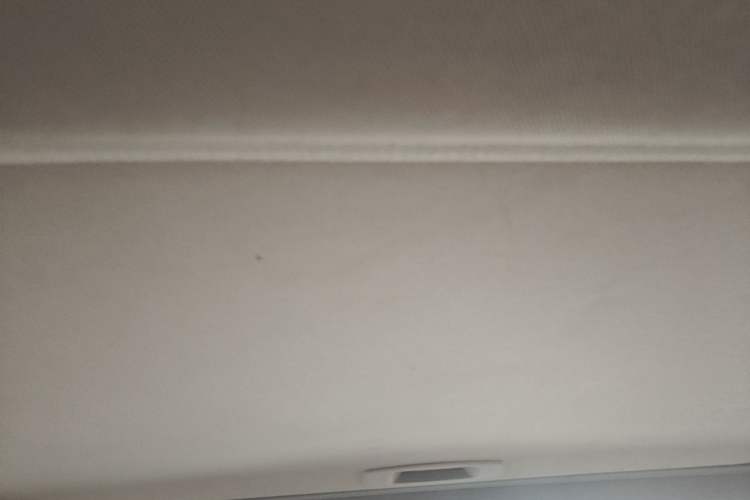 Used Toyota Avalon 2019 2.0L Luxury Edition China VI Standard Headliner