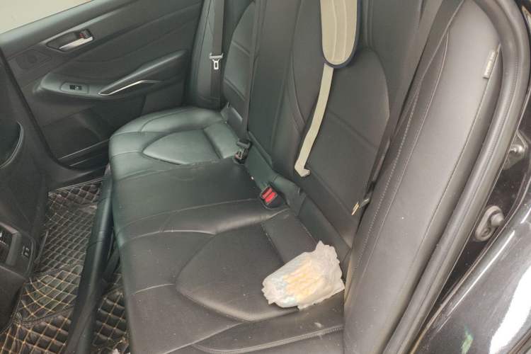 Used Toyota Avalon 2019 2.0L Luxury Edition China VI Standard Left Rear Seat