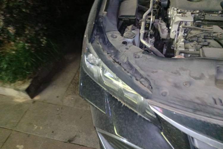 Used Toyota Avalon 2019 2.0L Luxury Edition China VI Standard Right Front Headlight