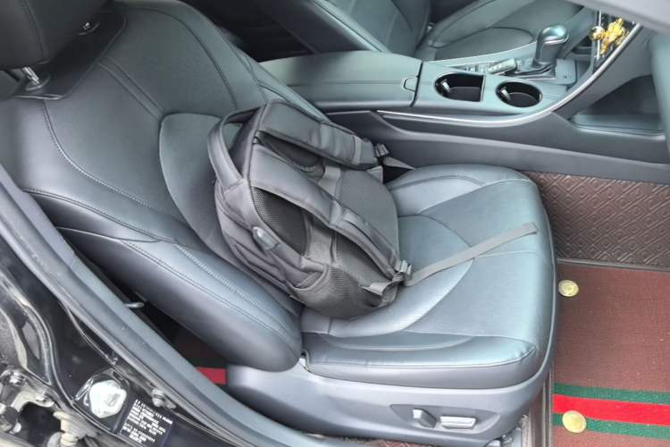 Used Toyota Avalon 2019 Dual-Engine 2.5L Luxury Edition China VI Standard Right Front Seat