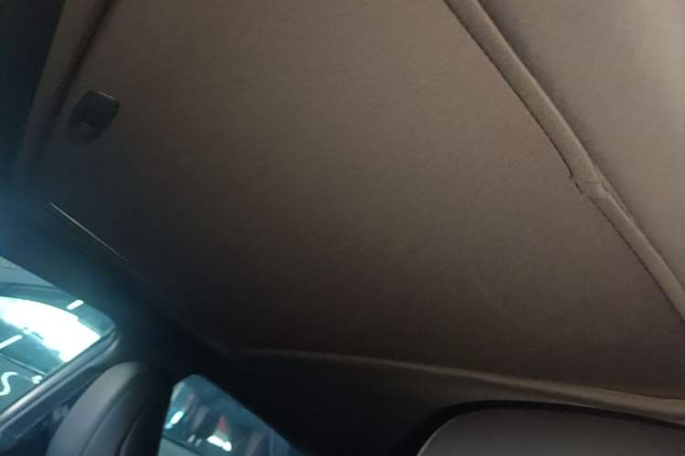 Used Toyota Avalon 2019 2.0L Luxury Edition China VI Standard Headliner
