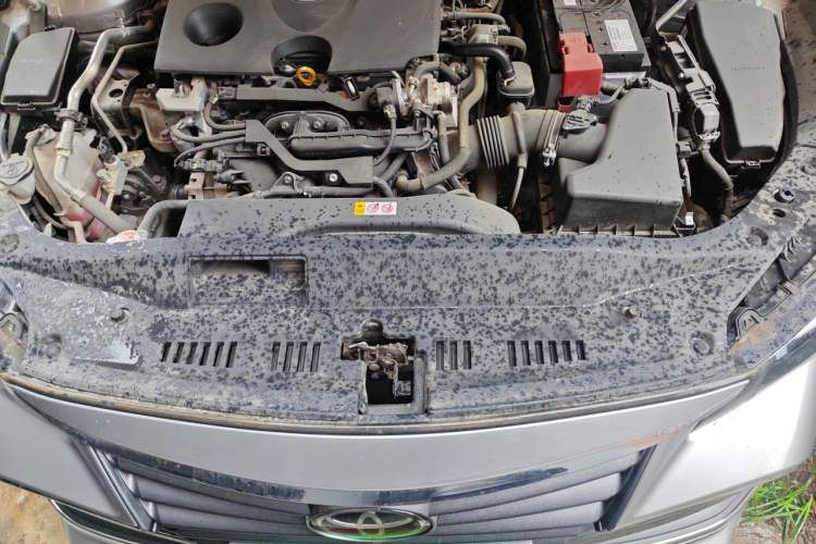 Used Toyota Avalon 2019 2.0L XLE Premium Edition China VI Engine Bay