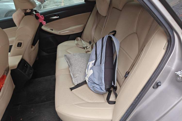 Used Toyota Avalon 2019 2.0L Luxury Edition China VI Standard Left Rear Seat
