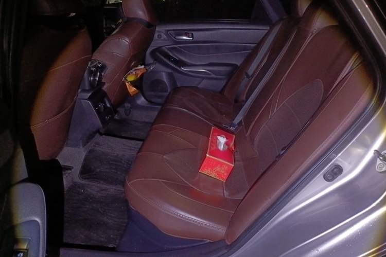 Used Toyota Avalon 2019 Dual-Engine 2.5L Luxury Edition China VI Standard Left Rear Seat