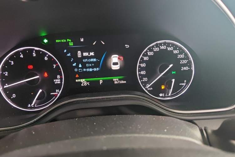 Used Toyota Avalon 2019 2.5L Touring Premium Version China V Standard Odometer Close Up