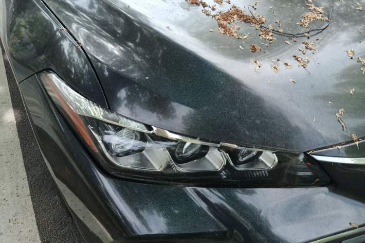 Used Toyota Avalon 2019 2.0L Ambition Edition China VI Right Front Headlight