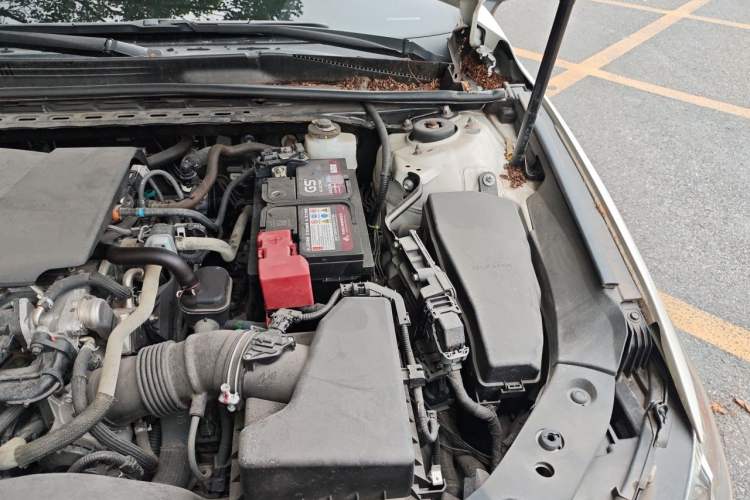Used Toyota Avalon 2019 2.0L Luxury Edition China VI Standard Engine Bay Left