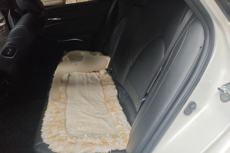 Used Toyota Avalon 2019 2.0L XLE Premium Edition China VI Left Rear Seat