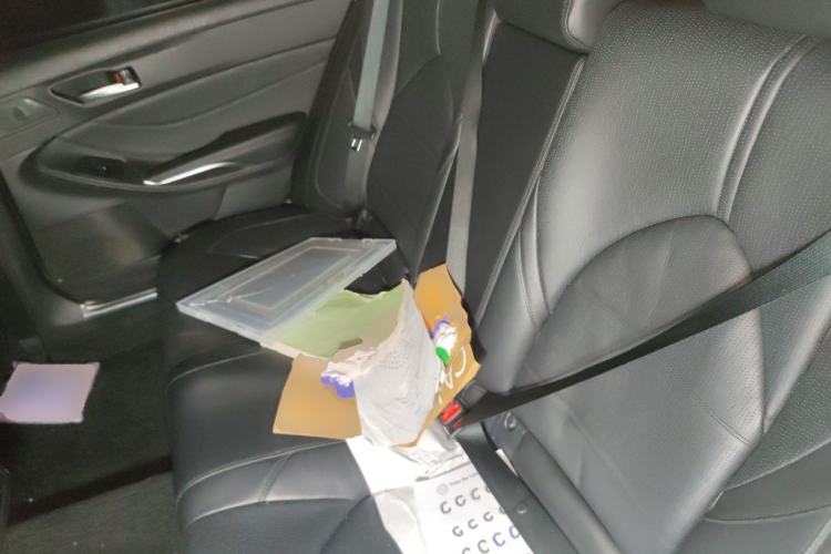 Used Toyota Avalon 2019 2.0L Luxury Edition China VI Standard Left Rear Seat