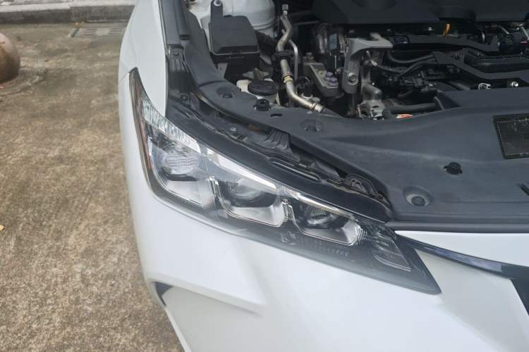 Used Toyota Avalon 2019 2.0L XLE Premium Edition China VI Right Front Headlight