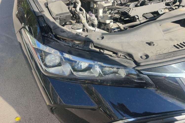 Used Toyota Avalon 2021 2.5L Luxury Edition Right Front Headlight