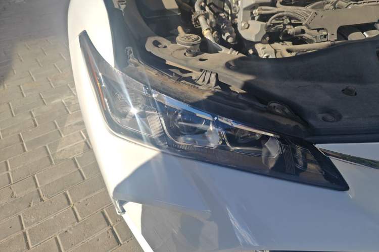 Used Toyota Avalon 2021 2.5L Touring Prestige SPORT Edition Right Front Headlight