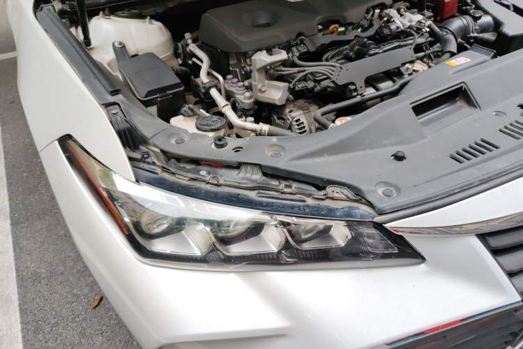 Used Toyota Avalon 2021 2.5L Luxury Edition Right Front Headlight