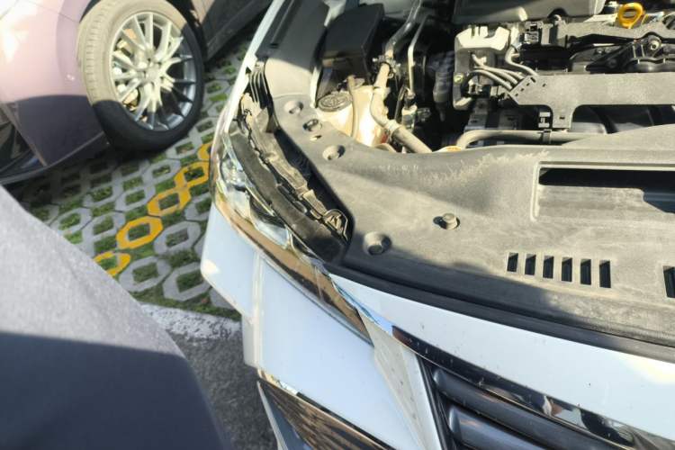 Used Toyota Avalon 2021 2.5L Luxury Edition Right Front Headlight