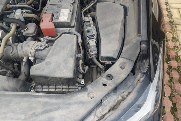 Used Toyota Avalon 2022 2.0L XLE Premium Edition Engine Bay Left