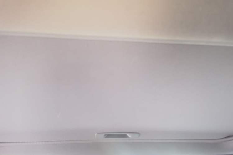 Used Toyota Avalon 2022 2.0L Ambition Edition Headliner