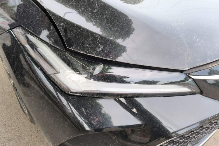 Used Toyota Avalon 2022 2.5L Luxury Edition Right Front Headlight