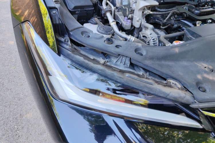 Used Toyota Avalon 2022 2.0L Luxury Edition Right Front Headlight