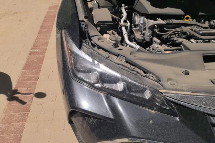 Used Toyota Avalon 2022 2.0L Ambition Edition Right Front Headlight