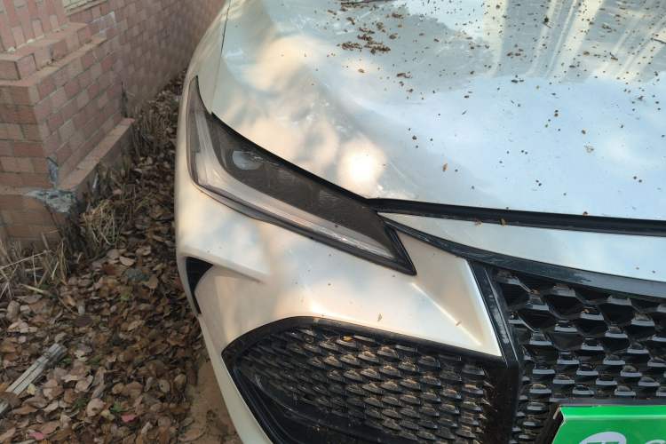 Used Toyota Avalon 2022 2.0L Ambition Edition Right Front Headlight