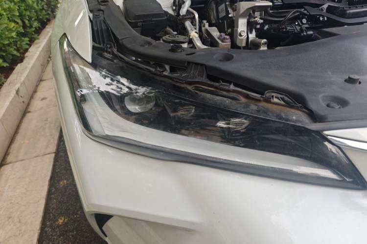 Used Toyota Avalon 2022 2.0L Luxury Edition Right Front Headlight