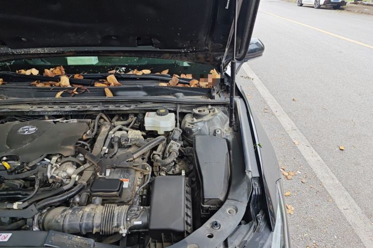 Used Toyota Avalon 2023 Dual-Engine 2.5L Luxury Edition Engine Bay Left