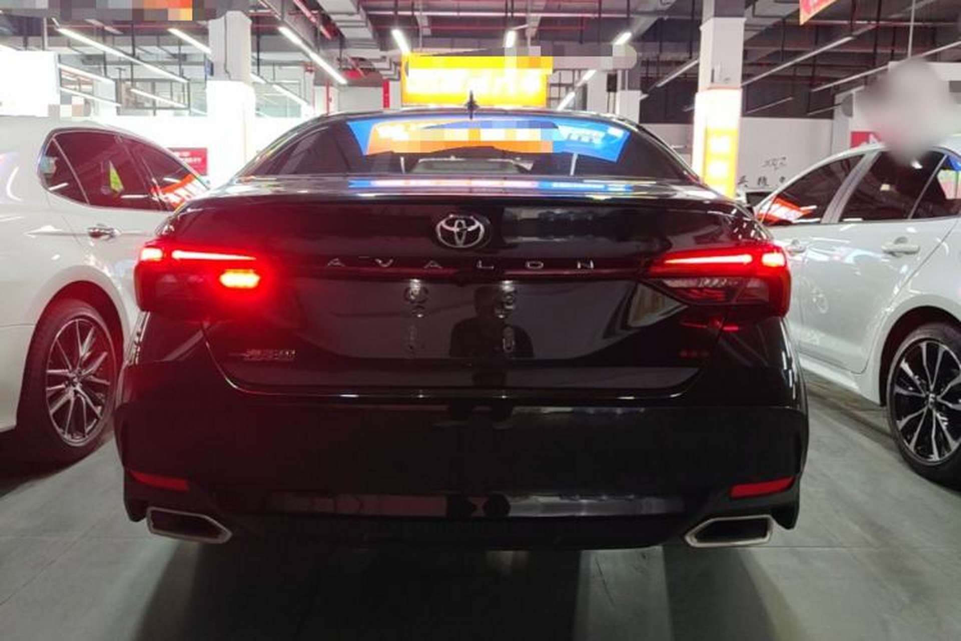 Used Toyota Avalon 2023 2.0L Luxury Edition Rear