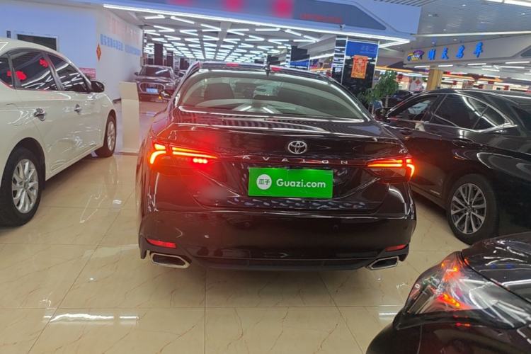 Used Toyota Avalon 2023 2.0L Premium Edition Rear