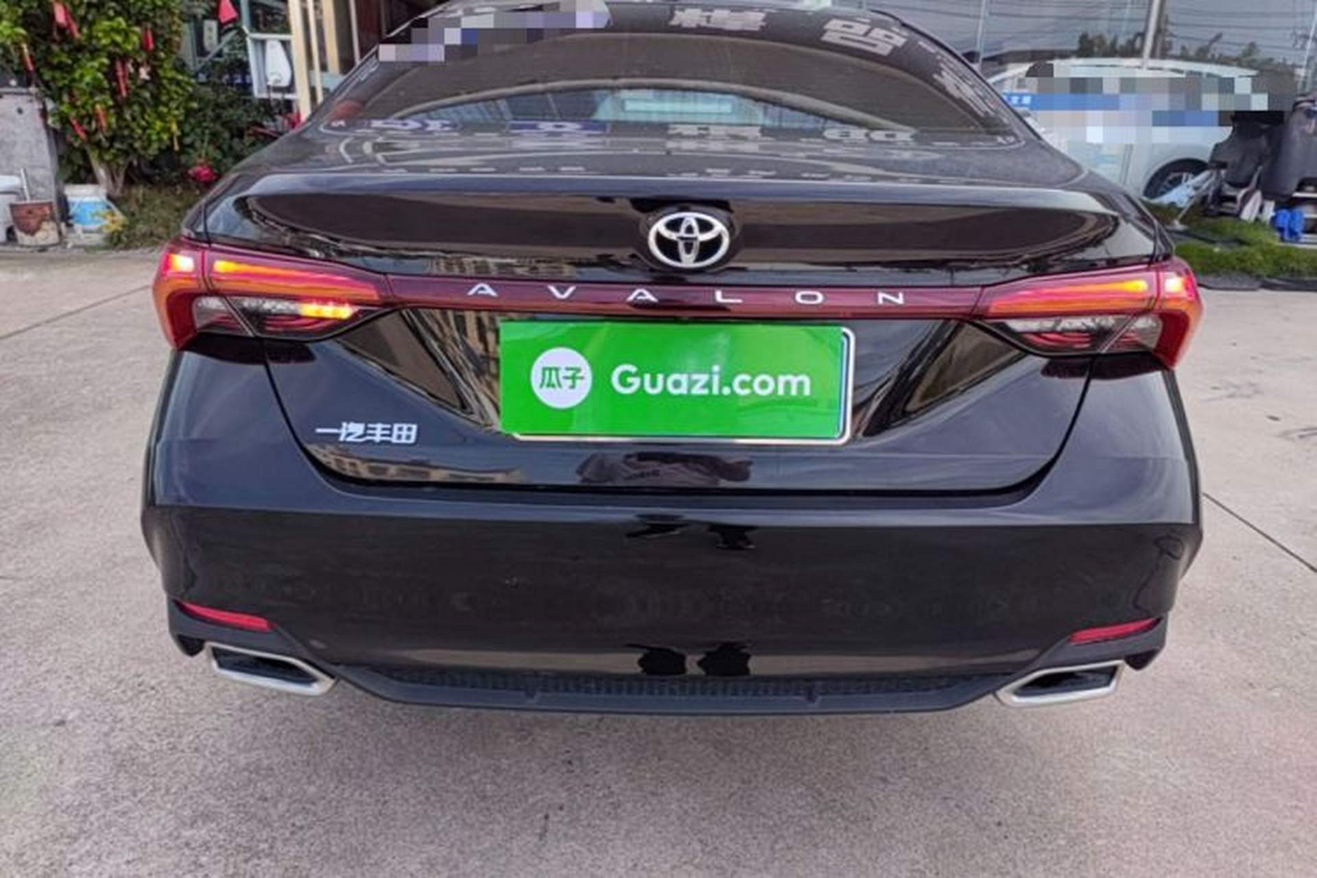Used Toyota Avalon 2023 2.0L Luxury Edition Rear