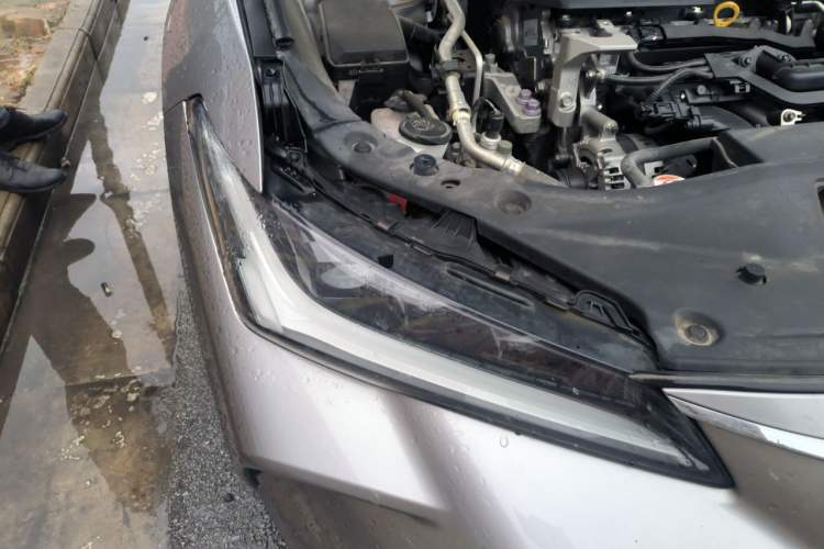 Used Toyota Avalon 2023 2.0L Premium Edition Right Front Headlight