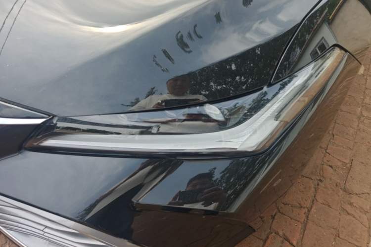Used Toyota Avalon 2024 2.0L Luxury Edition Left Front Headlight