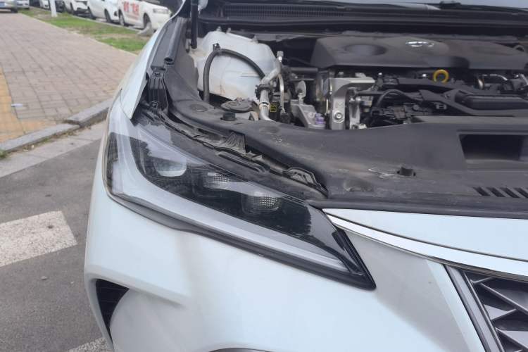 Used Toyota Avalon 2024 2.0L Luxury Edition Right Front Headlight
