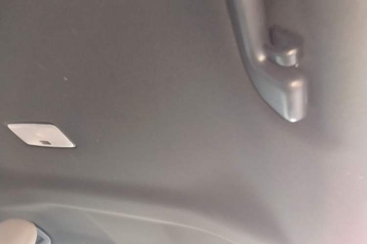 Used Toyota BZ 4X 2024 615 PRO Edition Headliner