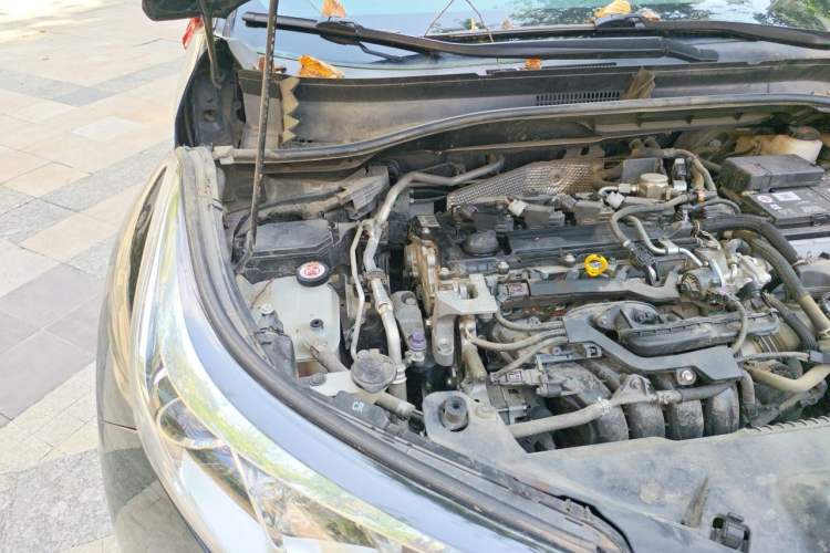 Used Toyota C-HR 2018 2.0L Leading with Sunroof China VI Standard Engine Bay Right