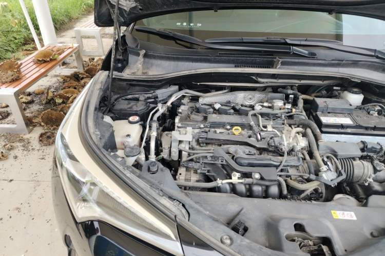 Used Toyota C-HR 2018 2.0L Luxury Sunroof Version China VI Standard Engine Bay Right