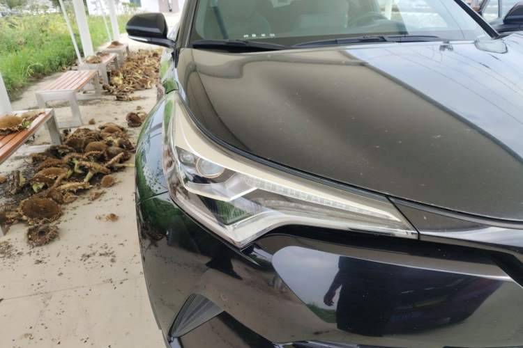 Used Toyota C-HR 2018 2.0L Luxury Sunroof Version China VI Standard Right Front Headlight