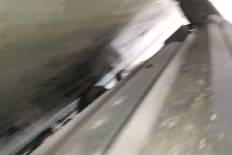 Used Toyota C-HR 2018 2.0L Leading with Sunroof China VI Standard Right Side Sill