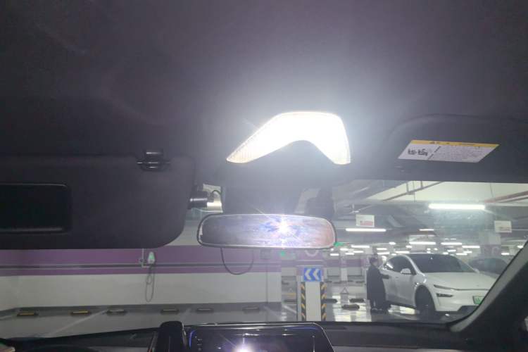 Used Toyota C-HR 2018 2.0L Leading Edition China V-standard Headliner
