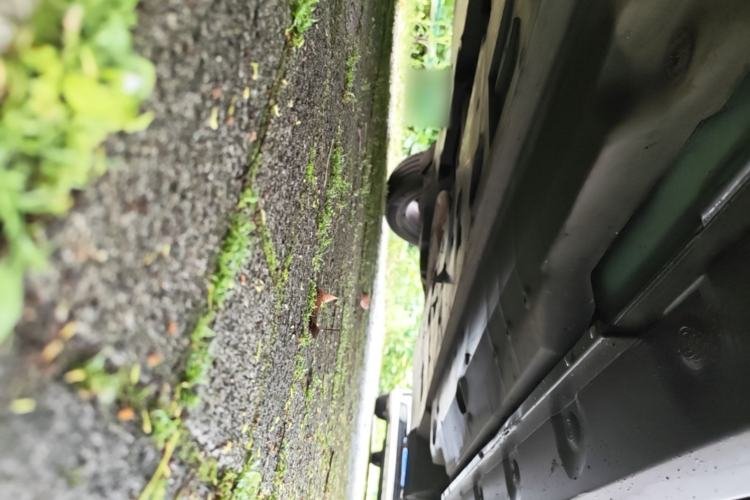 Used Toyota C-HR 2018 2.0L Leading with Sunroof China VI Standard Chassis Front Left