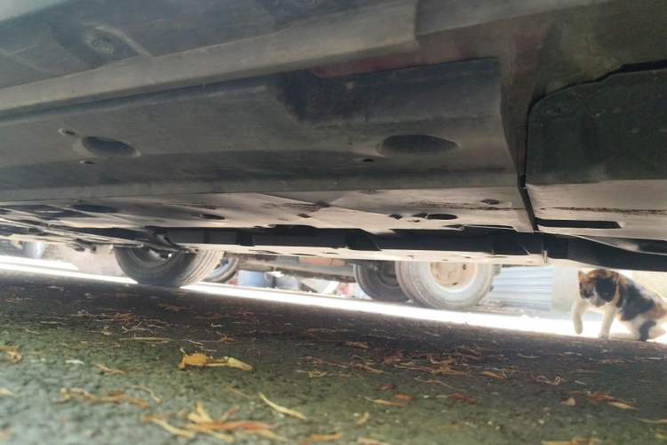 Used Toyota C-HR 2018 2.0L Flagship Sunroof Version China VI Standard Chassis Rear Left