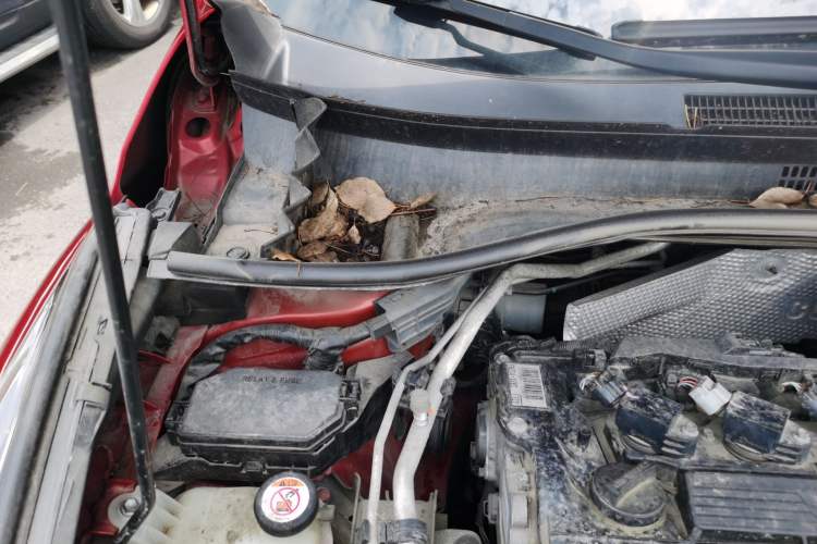 Used Toyota C-HR 2018 2.0L Leading with Sunroof China VI Standard Engine Bay Right