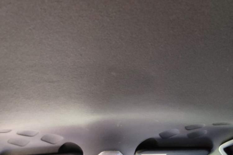 Used Toyota C-HR 2018 2.0L Leading Edition China V-standard Headliner