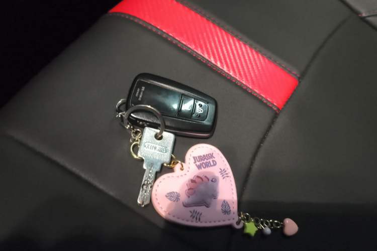 Used Toyota C-HR 2018 2.0L Leading with Sunroof China VI Standard Vehicle Key
