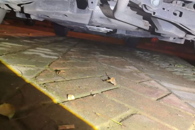 Used Toyota C-HR 2018 2.0L Leading with Sunroof China VI Standard Chassis Rear