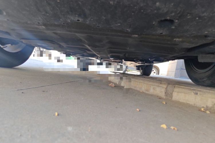 Used Toyota C-HR 2018 2.0L Leading with Sunroof China VI Standard Chassis Front