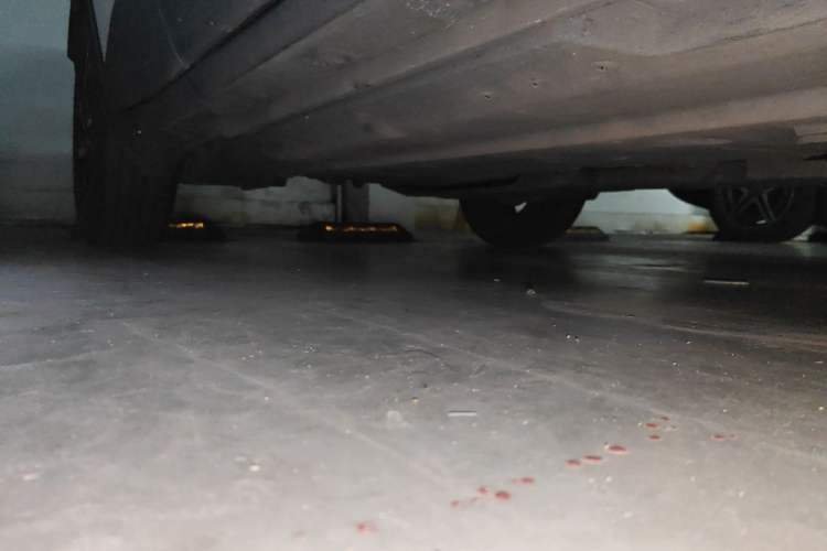 Used Toyota C-HR 2018 2.0L Leading with Sunroof China V Standard Chassis Front Right