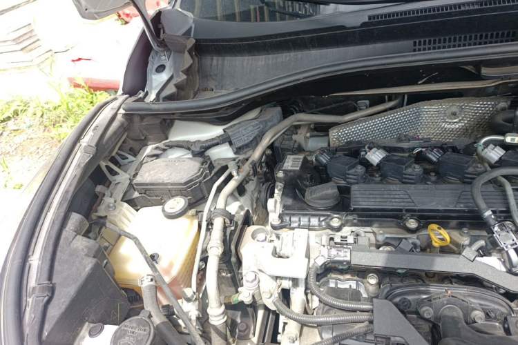 Used Toyota C-HR 2018 2.0L Luxury Sunroof Version China VI Standard Engine Bay Right