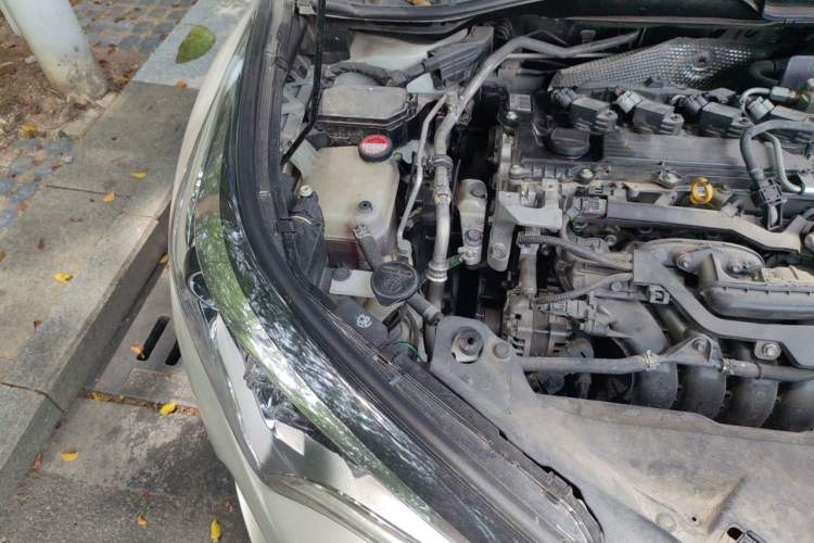 Used Toyota C-HR 2018 2.0L Leading Edition China V-standard Engine Bay Right