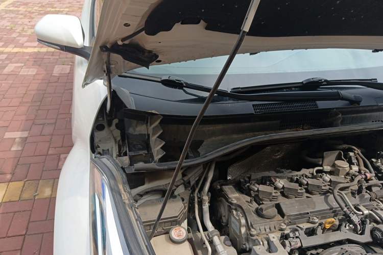 Used Toyota C-HR 2018 2.0L Leading with Sunroof China VI Standard Engine Bay Right